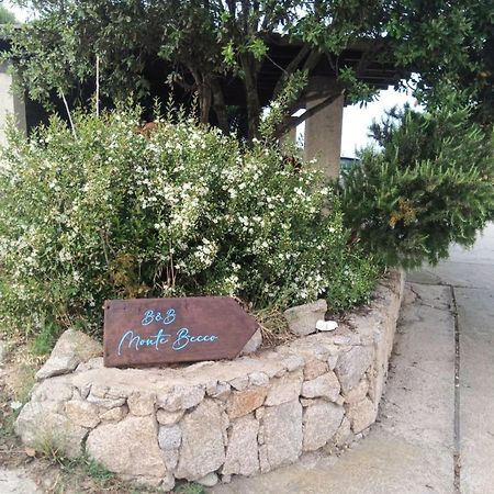 B&B Monte Becco Santa Teresa di Gallura Esterno foto
